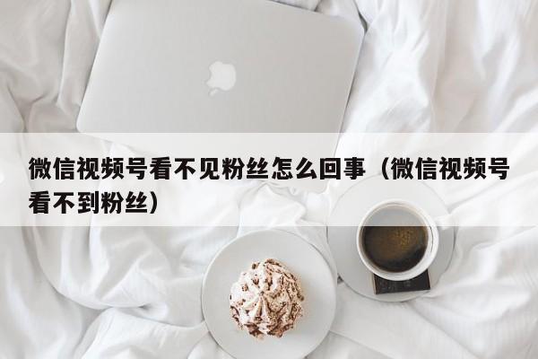 微信视频号看不见粉丝怎么回事（微信视频号看不到粉丝） 第1张