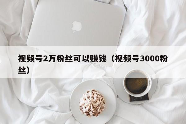 视频号2万粉丝可以赚钱（视频号3000粉丝） 第1张