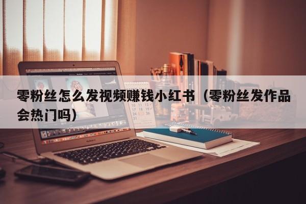 零粉丝怎么发视频赚钱小红书（零粉丝发作品会热门吗） 第1张