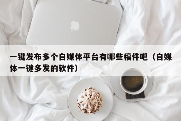 一键发布多个自媒体平台有哪些稿件吧（自媒体一键多发的软件） 第1张