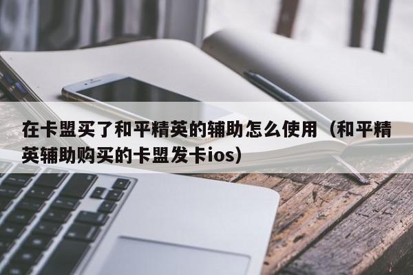在卡盟买了和平精英的辅助怎么使用（和平精英辅助购买的卡盟发卡ios） 第1张