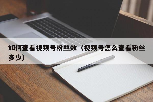 如何查看视频号粉丝数（视频号怎么查看粉丝多少） 第1张
