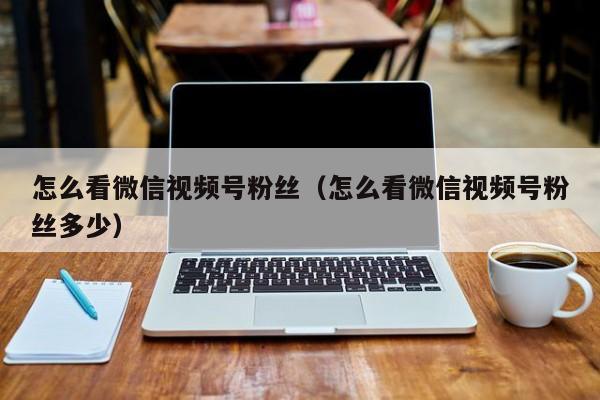 怎么看微信视频号粉丝（怎么看微信视频号粉丝多少） 第1张