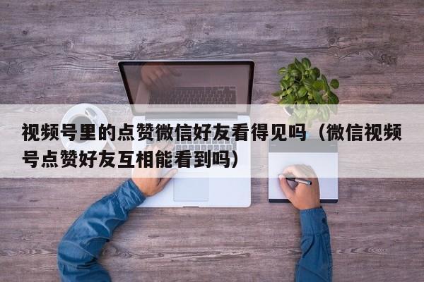 视频号里的点赞微信好友看得见吗（微信视频号点赞好友互相能看到吗） 第1张
