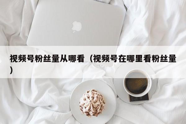视频号粉丝量从哪看（视频号在哪里看粉丝量） 第1张