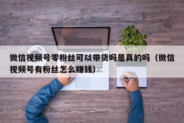微信视频号零粉丝可以带货吗是真的吗（微信视频号有粉丝怎么赚钱） 第1张