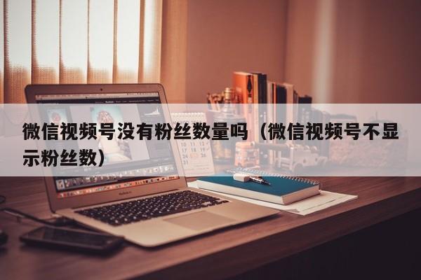 微信视频号没有粉丝数量吗（微信视频号不显示粉丝数） 第1张