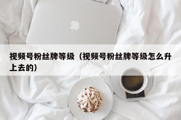 视频号粉丝牌等级（视频号粉丝牌等级怎么升上去的） 第1张