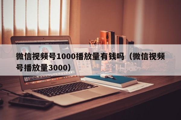 微信视频号1000播放量有钱吗（微信视频号播放量3000） 第1张
