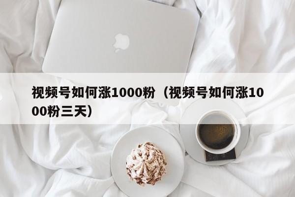 视频号如何涨1000粉（视频号如何涨1000粉三天） 第1张