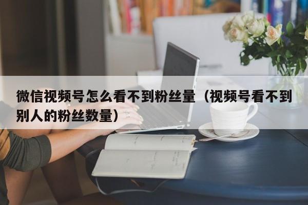 微信视频号怎么看不到粉丝量（视频号看不到别人的粉丝数量） 第1张