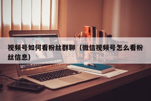 视频号如何看粉丝群聊（微信视频号怎么看粉丝信息） 第1张