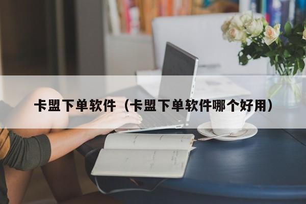 卡盟下单软件（卡盟下单软件哪个好用） 第1张