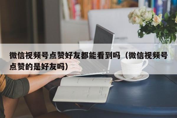 微信视频号点赞好友都能看到吗（微信视频号点赞的是好友吗） 第1张