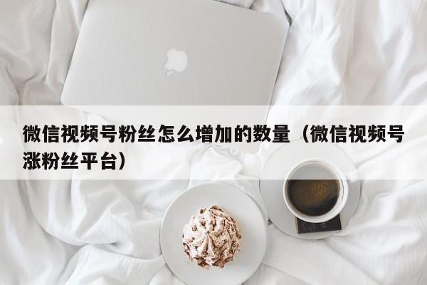 微信视频号粉丝怎么增加的数量（微信视频号涨粉丝平台） 第1张