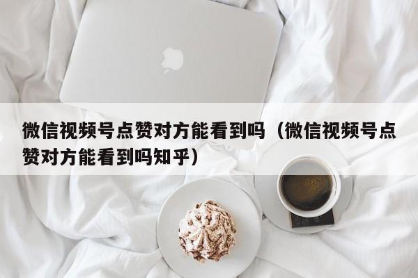 微信视频号点赞对方能看到吗（微信视频号点赞对方能看到吗知乎） 第1张