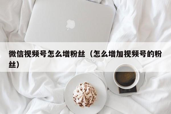 微信视频号怎么增粉丝（怎么增加视频号的粉丝） 第1张