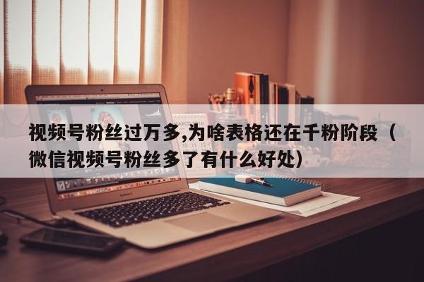视频号粉丝过万多,为啥表格还在千粉阶段（微信视频号粉丝多了有什么好处） 第1张
