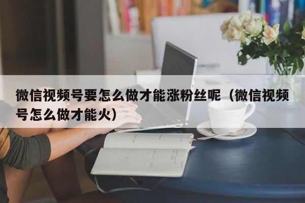 微信视频号要怎么做才能涨粉丝呢（微信视频号怎么做才能火） 第1张