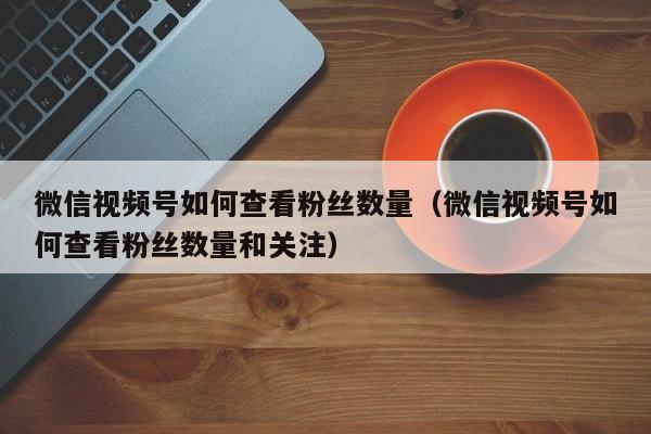 微信视频号如何查看粉丝数量（微信视频号如何查看粉丝数量和关注） 第1张