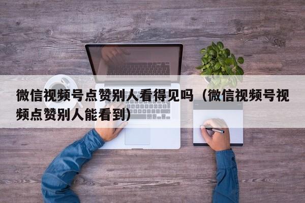 微信视频号点赞别人看得见吗（微信视频号视频点赞别人能看到） 第1张