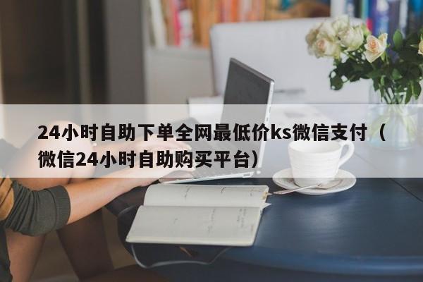 24小时自助下单全网最低价ks微信支付（微信24小时自助购买平台） 第1张