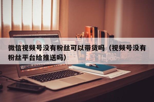 微信视频号没有粉丝可以带货吗（视频号没有粉丝平台给推送吗） 第1张