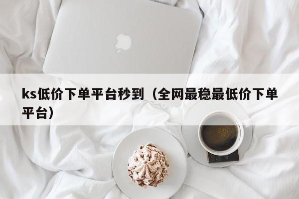 ks低价下单平台秒到（全网最稳最低价下单平台） 第1张