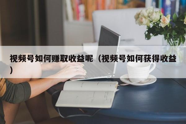 视频号如何赚取收益呢（视频号如何获得收益） 第1张