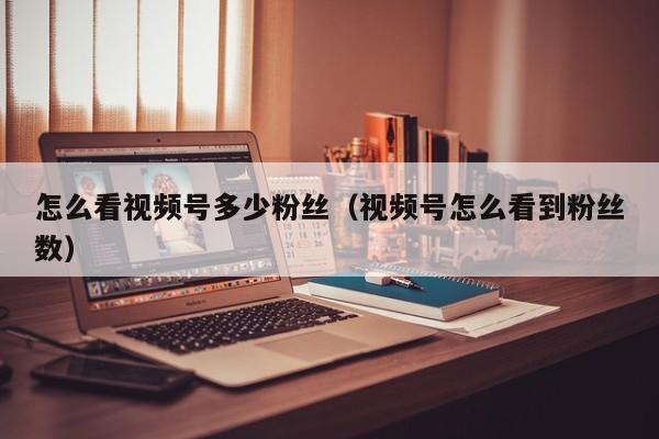 怎么看视频号多少粉丝（视频号怎么看到粉丝数） 第1张