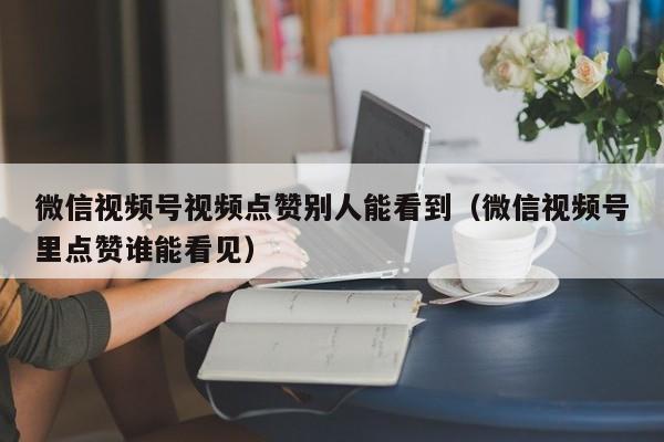 微信视频号视频点赞别人能看到（微信视频号里点赞谁能看见） 第1张