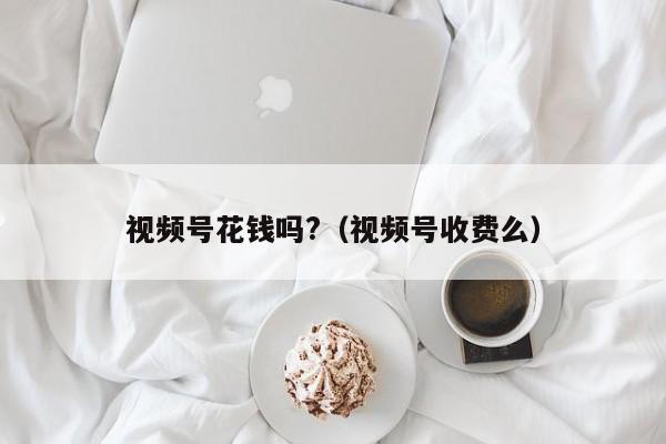 视频号花钱吗?（视频号收费么） 第1张
