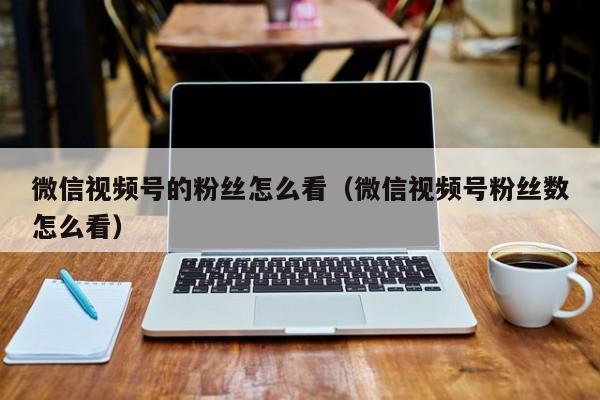 微信视频号的粉丝怎么看（微信视频号粉丝数怎么看） 第1张