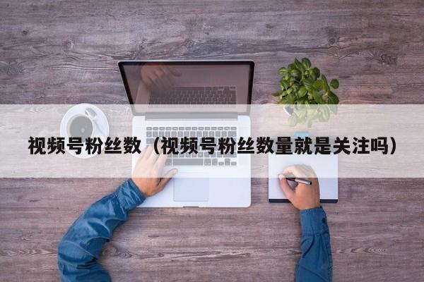 视频号粉丝数（视频号粉丝数量就是关注吗） 第1张
