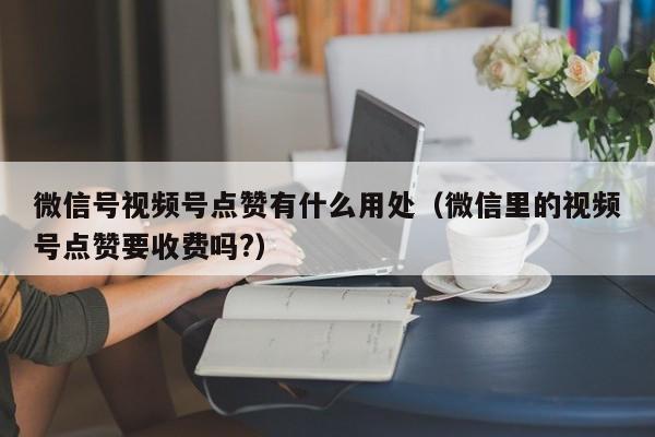 微信号视频号点赞有什么用处（微信里的视频号点赞要收费吗?） 第1张