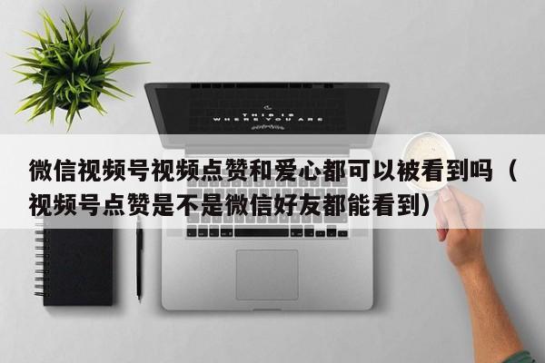 微信视频号视频点赞和爱心都可以被看到吗（视频号点赞是不是微信好友都能看到） 第1张