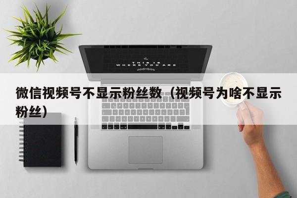 微信视频号不显示粉丝数（视频号为啥不显示粉丝） 第1张