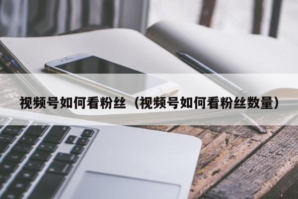 视频号如何看粉丝（视频号如何看粉丝数量） 第1张