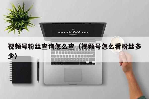 视频号粉丝查询怎么查（视频号怎么看粉丝多少） 第1张