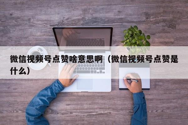 微信视频号点赞啥意思啊（微信视频号点赞是什么） 第1张
