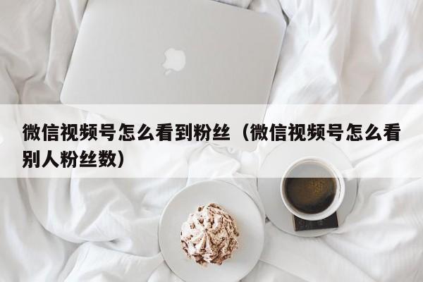 微信视频号怎么看到粉丝（微信视频号怎么看别人粉丝数） 第1张