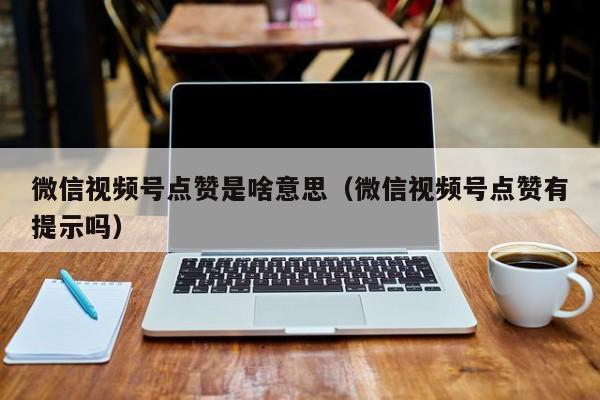 微信视频号点赞是啥意思（微信视频号点赞有提示吗） 第1张
