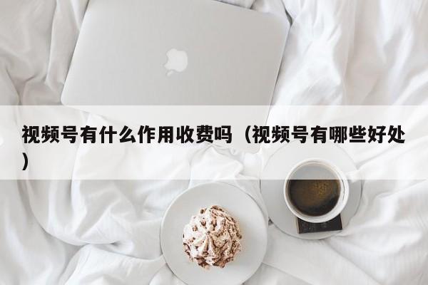 视频号有什么作用收费吗（视频号有哪些好处） 第1张