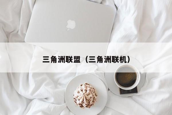三角洲联盟（三角洲联机） 第1张