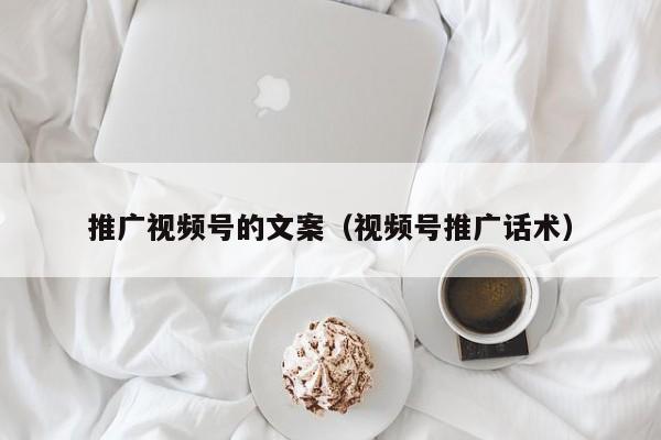 推广视频号的文案（视频号推广话术） 第1张