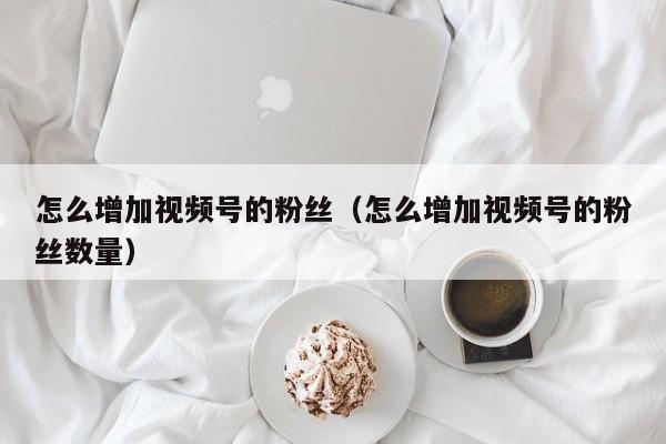 怎么增加视频号的粉丝（怎么增加视频号的粉丝数量） 第1张