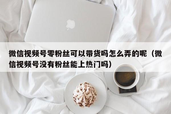微信视频号零粉丝可以带货吗怎么弄的呢（微信视频号没有粉丝能上热门吗） 第1张
