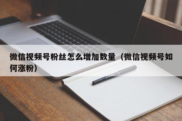 微信视频号粉丝怎么增加数量（微信视频号如何涨粉） 第1张