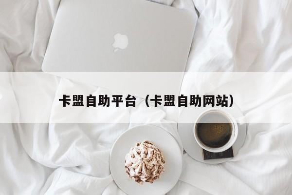 卡盟自助平台（卡盟自助网站） 第1张