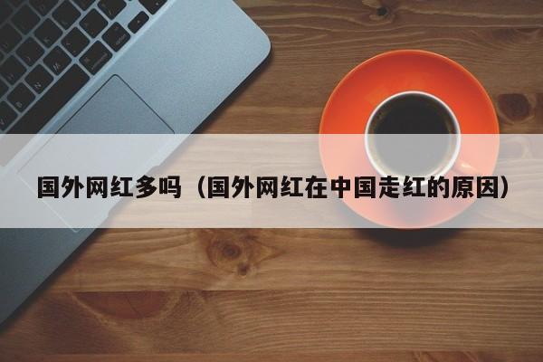 国外网红多吗（国外网红在中国走红的原因） 第1张